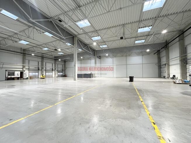 HALA PRODUKCJA 2500 M2 DOKI, BRAMY "0" Rybitwy