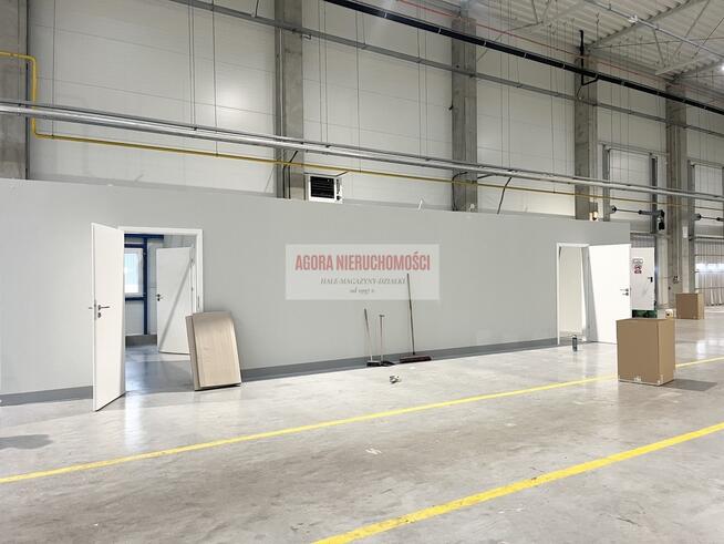 HALA PRODUKCJA 2500 M2 DOKI, BRAMY "0" Rybitwy