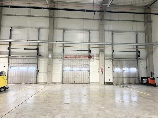 HALA PRODUKCJA 2500 M2 DOKI, BRAMY "0" Rybitwy