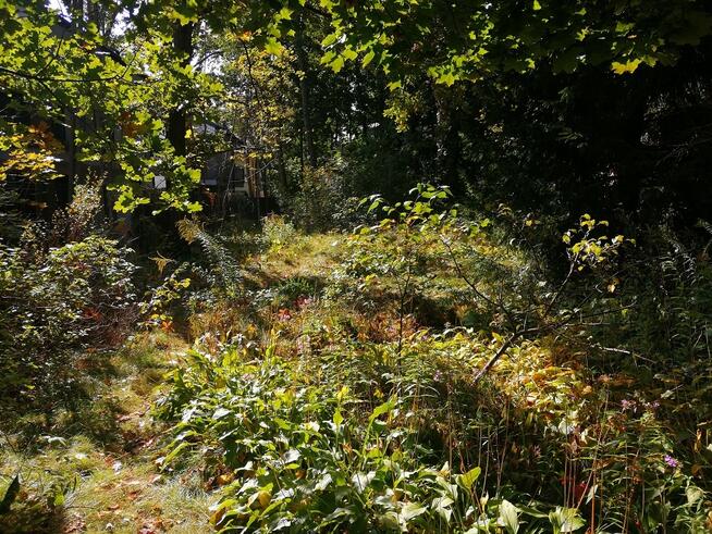 Piękna atrakcyjnie położona działka.