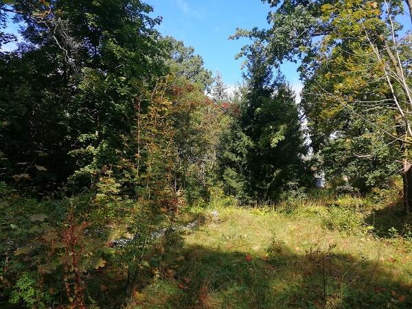 Piękna atrakcyjnie położona działka.