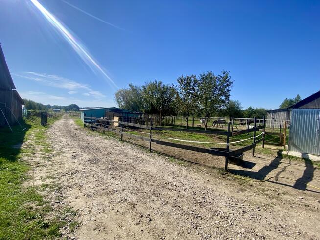 Stajnia/Siedlisko-rekreacja, edukacja jazdy konnej