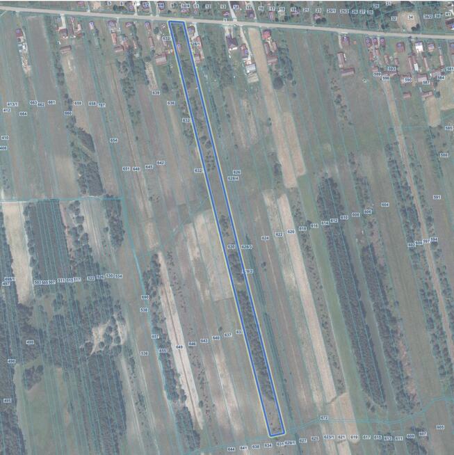 Stajnia/Siedlisko-rekreacja, edukacja jazdy konnej