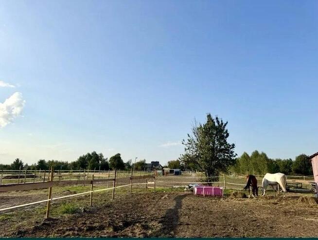 Stajnia/Siedlisko-rekreacja, edukacja jazdy konnej