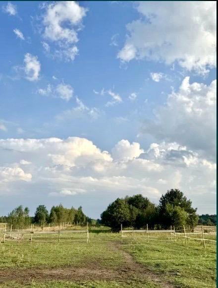 Stajnia/Siedlisko-rekreacja, edukacja jazdy konnej