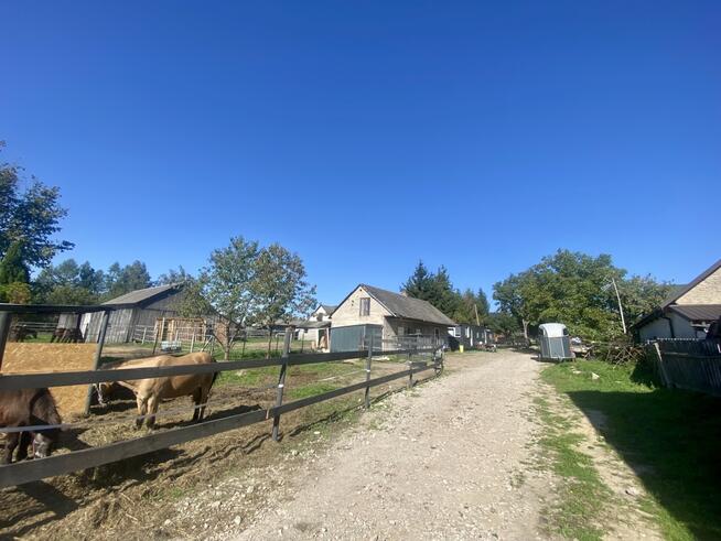 Stajnia/Siedlisko-rekreacja, edukacja jazdy konnej