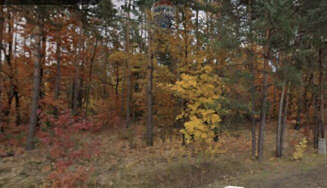 Drożdżówka. Leśna działka pod dom całoroczny