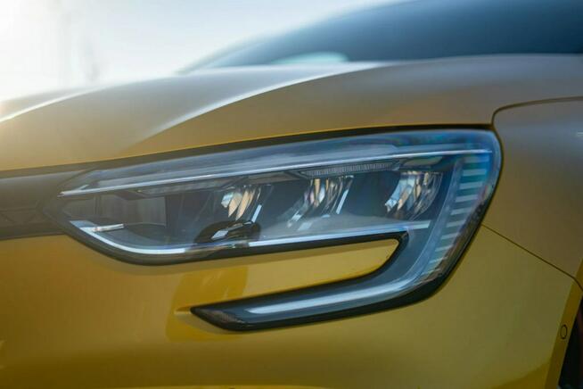 Renault Megane R.S Trophy FV23, salon Polska