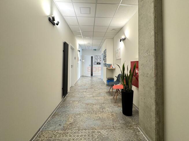 Lokal użytkowy Wrocław Stare Miasto, Szczepin