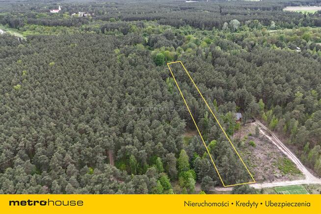 Działka leśna w Nadkole – w pobliżu rzeka Liwiec