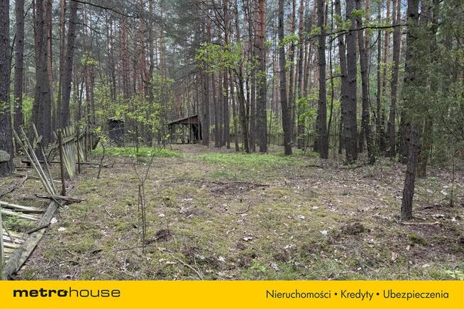 Działka leśna w Nadkole – w pobliżu rzeka Liwiec