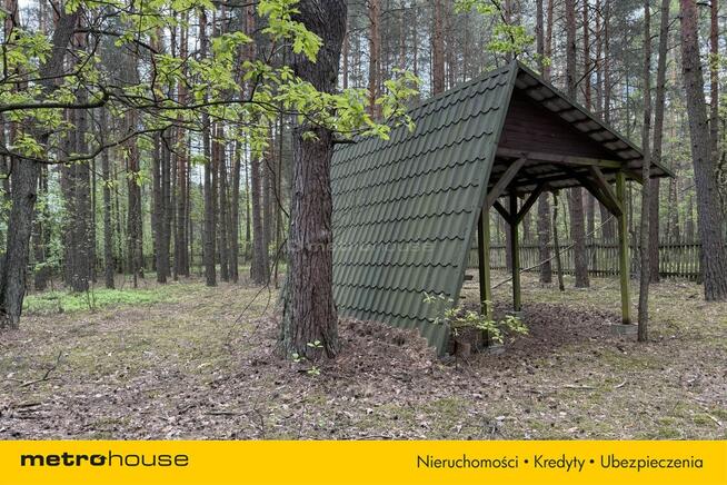 Działka leśna w Nadkole – w pobliżu rzeka Liwiec