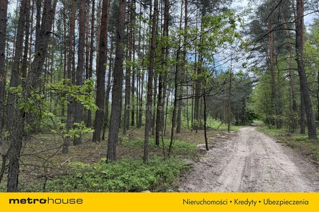 Działka leśna w Nadkole – w pobliżu rzeka Liwiec