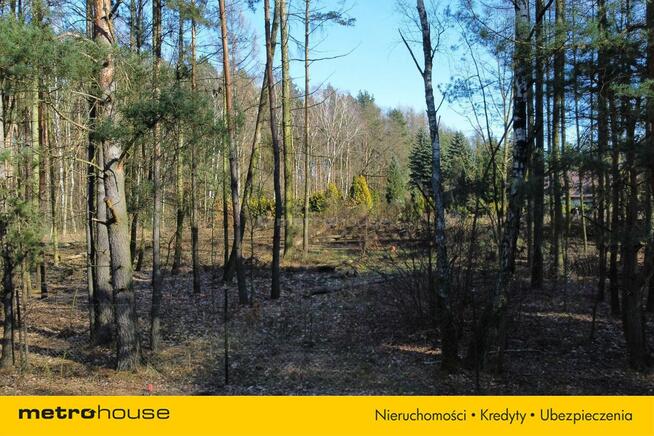 Działki budowlane w otoczeniu lasu, natury, Słowak