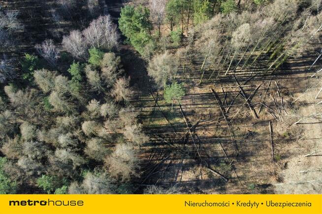 Działki budowlane w otoczeniu lasu, natury, Słowak