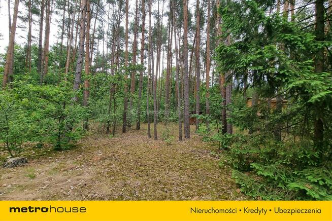 Działka Mierzwice-Kolonia