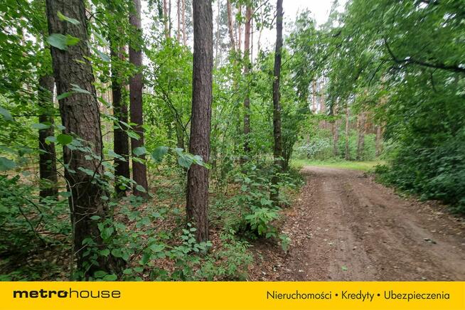 Działka Mierzwice-Kolonia