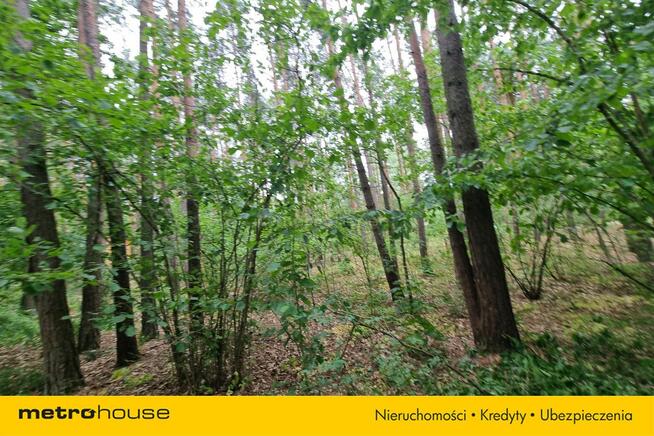 Działka Mierzwice-Kolonia