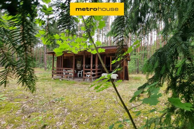 Działka Mierzwice-Kolonia