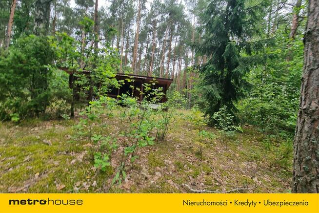 Działka Mierzwice-Kolonia