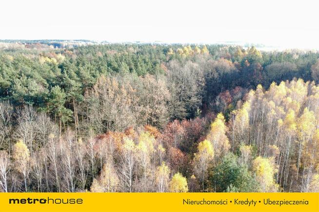 Działka Wola Wodyńska