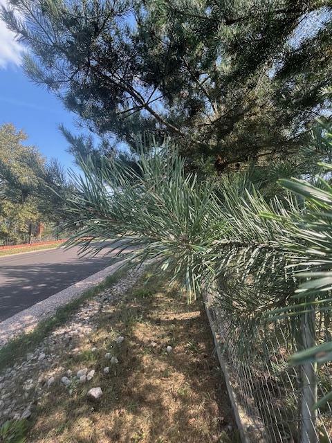 Działka budowlana Sulejówek