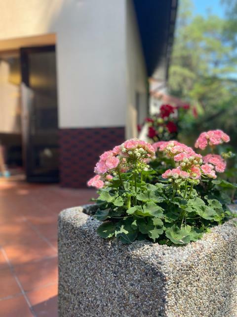 Dom Warszawa Wesoła, 1 Praskiego Pułku