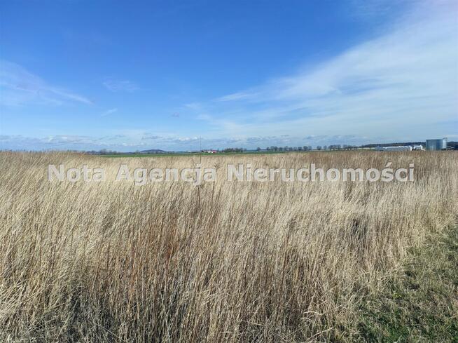 Działka inwestycyjna Świebodzice Ciernie