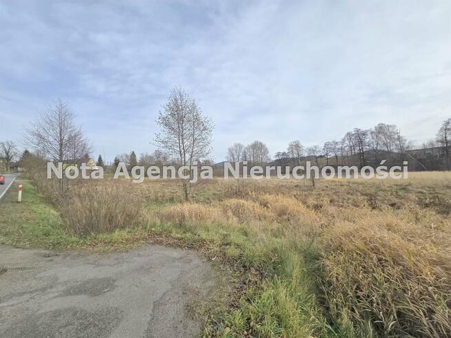 Działka Jabłów gm. Stare Bogaczowice