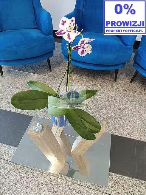 Lokal użytkowy Warszawa Targówek, Toruńska