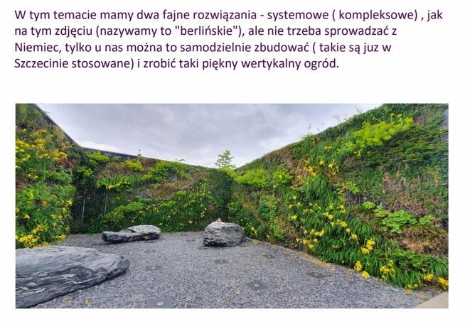 Działka Przylep gm. Kołbaskowo