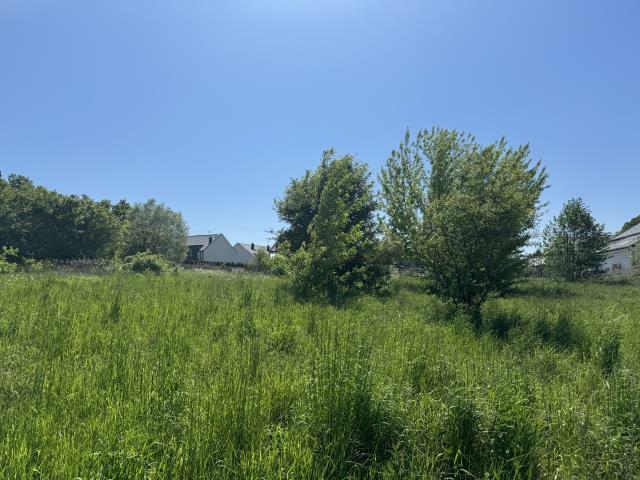 Działka budowlana Pilchowo gm. Police, Warszewska