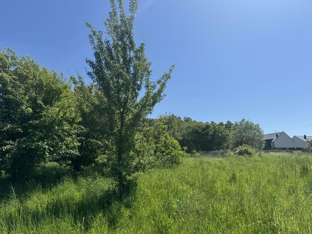 Działka budowlana Pilchowo gm. Police, Warszewska