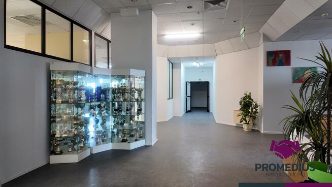 Lokal użytkowy Koszalin, Racławicka