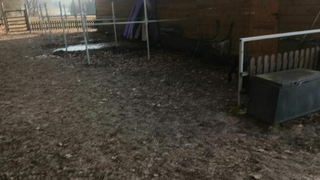 Stajnia wolnowybiegowa nawyłączność 30mi do Warszawy k.Żyrad