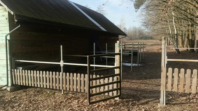 Stajnia wolnowybiegowa nawyłączność 30mi do Warszawy k.Żyrad