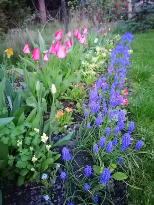 Oaza spokoju w środku miasta.