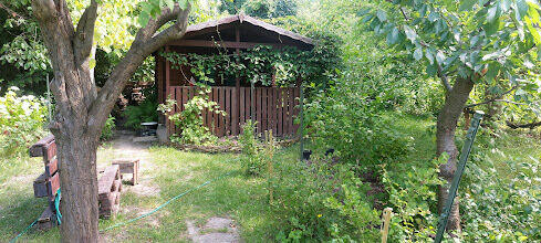 Oaza spokoju w środku miasta.