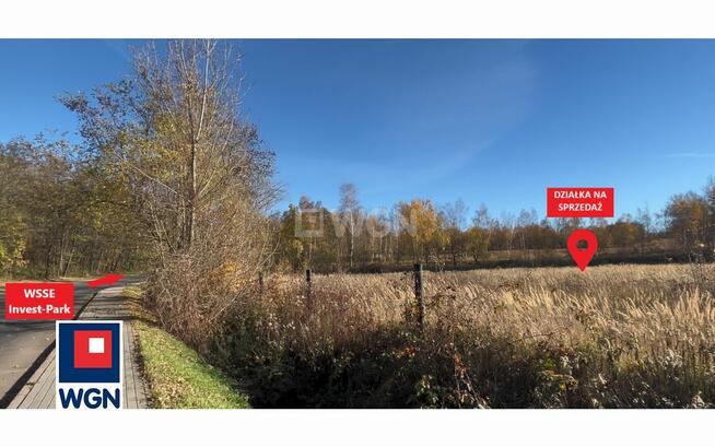 Działka inwestycyjna w Żarowie