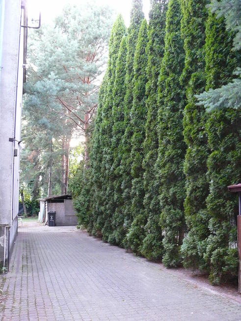 Dom Górny Mokotów na działce 1017m2 ul. Wita Stwosza