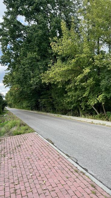 Działka budowlana Sabnie-Hołowienki 1233m2