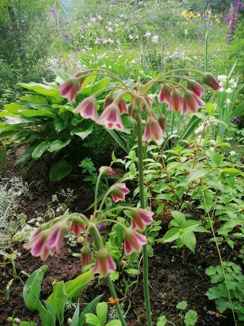 Oaza spokoju w środku miasta.