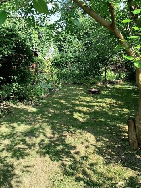 Oaza spokoju w środku miasta.