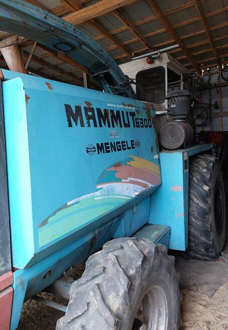 Sieczkarnia do kukurydzy Mengele Mammut + heder | 1996 | bar