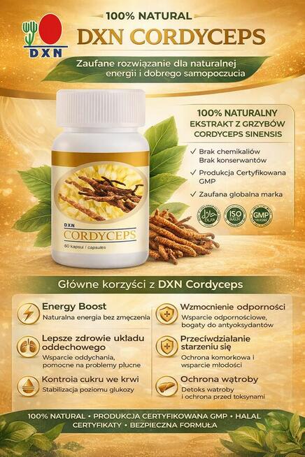 Szukasz zmiany? Chcesz zarabiać więcej, ale bez ryzyka?