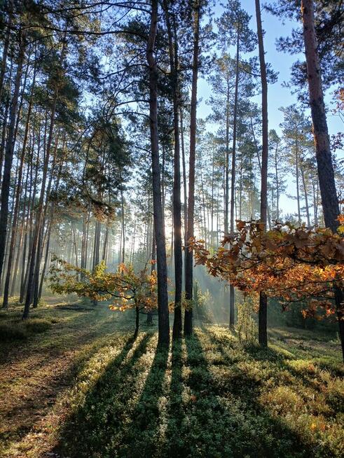 Ile miłości, tyle radości / zadowolenia z życia :)
