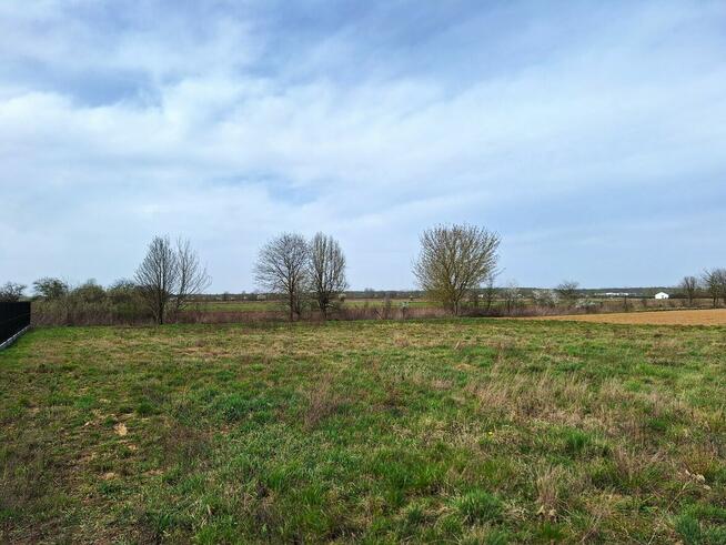 Działka budowlana 2900m2 DOBRZYŃ