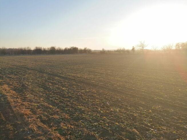 Sprzedam działkę rolną, 0,77 ha, Rzeszotary
