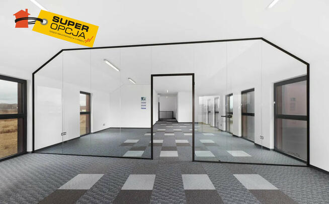 Lokal użytkowy Kraków gm. Kraków-Podgórze Rybitwy,