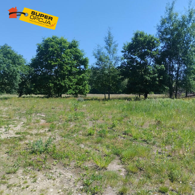 Działka siedliskowa Przeginia Narodowa gm. Czernichów,